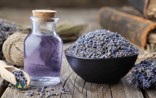 اسانس اسطوخودوس برای چی خوبه؟